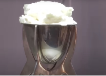 एलियोनोरा ने प्लास्टिक की मदद से तैयार की आइसक्रीम, वनीला जैसा है स्वाद