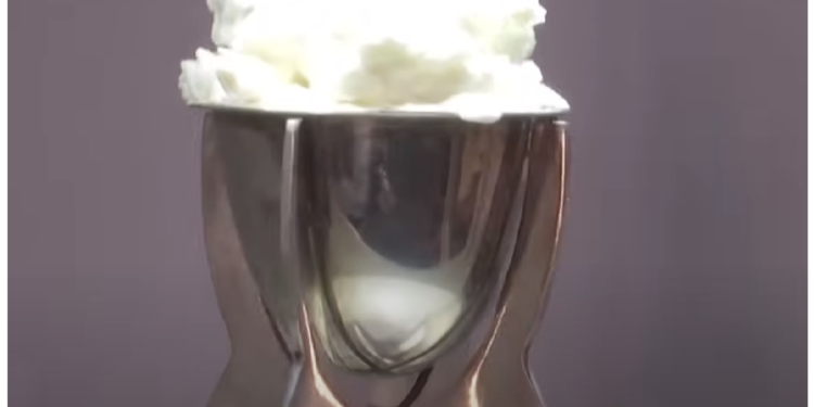 एलियोनोरा ने प्लास्टिक की मदद से तैयार की आइसक्रीम, वनीला जैसा है स्वाद