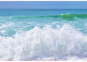 गहरे समुद्र में विशाल नमकीन झील, जीवों को जिंदा अंदर दबा लेती है