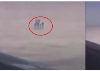 फ्लाइट में बैठा युवक वीडियो बना रहा था, कैद हो गया एलियन का परिवार