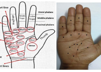 हथेली की रेखाओं से जाने कैसा रहेगा आपका विवाहित जीवन