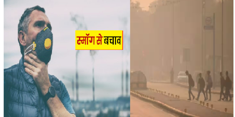 स्मॉग से इस प्रकार अपनी त्वचा को बचा सकतीं हैं आप