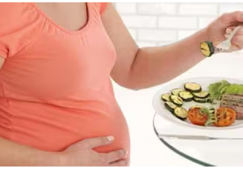 गर्भावस्था में लें पौष्टिक आहार