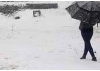 बॉस हो तो ऐसा: बर्फबारी नहीं हो रही, इसलिए मूड खराब है, छुट्टी चाहिए