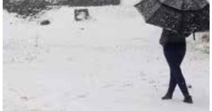 बॉस हो तो ऐसा: बर्फबारी नहीं हो रही, इसलिए मूड खराब है, छुट्टी चाहिए