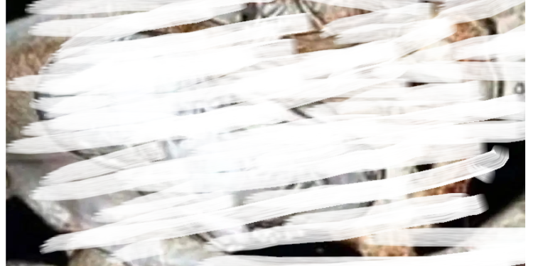 अजब-गजब: 73 साल की म‎हिला ने करवाई जांच, ‎निकला 35 साल का बच्चा