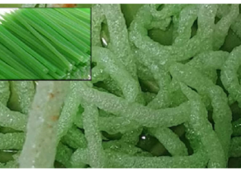 स्टार्च की टूथपिक का इस्तेमाल खाने में कर रहे चाइनीज