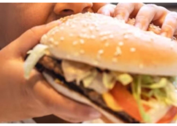 बर्गर-रैप और फ्राइज़ जैसी चीज़ें घटाती है मोटापा!, सोशल मीडिया एनफ्लुएंसर ने किया यह दावा