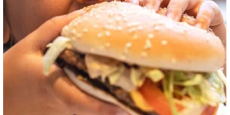 बर्गर-रैप और फ्राइज़ जैसी चीज़ें घटाती है मोटापा!, सोशल मीडिया एनफ्लुएंसर ने किया यह दावा