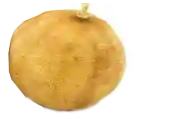 नीलामी में डेढ लाख में बिका एक नींबू, चर्चा में इंग्लैंड में हुई ये नीलामी