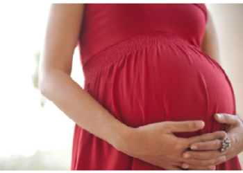 सिंगल मदर ने पैदा किए 19 बच्चे, 20 वें की तैयारी जारी, सरकार देती है खर्च