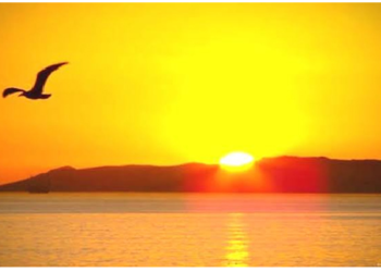 सूर्य की किरणों का होता है ये भी फायदा