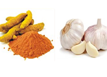 इन चीजों के सेवन से रक्त रहता है पतला, इनको खाने से नहीं होगा कभी हार्ट अटैक