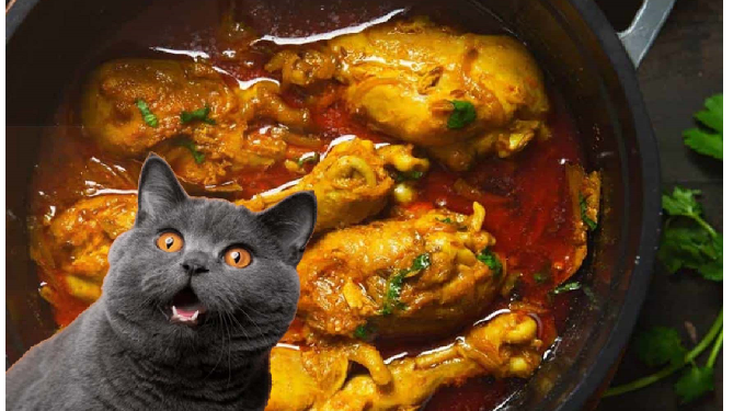 महिला को हुआ अंधविश्वास, बिल्ली खाई इसलिए भालू से बेटा पैदा हुआ