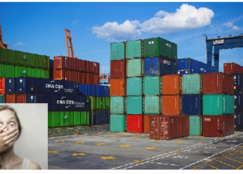 कंटेनर से आ रही थी अजीब आवाजें…डरते हुए जब खोला तब उड़ गए होश