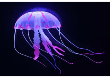 इन जीवों के शरीर में नहीं एक भी हडडी