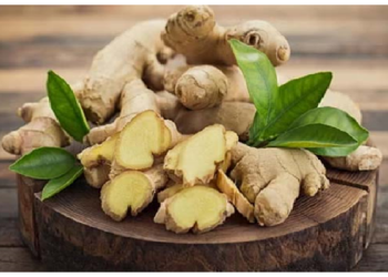 भूलकर भी अदरक का सेवन ना करें ये लोग