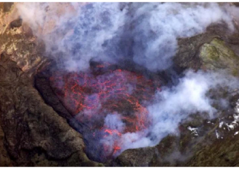 आपको जानकर होगी हैरानी…..यहां हर दिन हवा में उड़ रहा लाखों का सोना