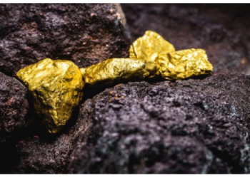 नौकरी छोड़कर जमीन में खुदाई कर सोना निकाल रहे इस देश के लोग, सरकार ने दी सोना निकलने की पूरी छूट