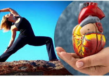 सिर्फ 30 सेंकड की एक्सरसाइज से हार्ट हो मजबूत…..मोटापा होगा कम