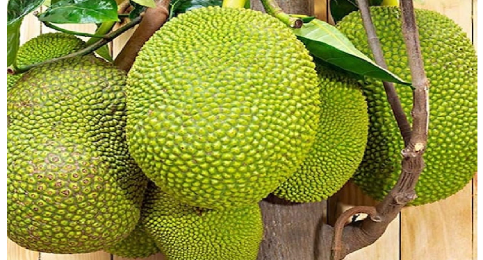 आयुर्वेदिक ग्रंथों में है इस सब्जी का जिक्र, विटामिन और फाइबर से है भरपूर