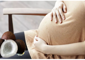 गर्भवती महिला को खाना चाहिए सूखा नारियल, होता है ये फायदा