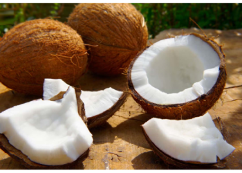 हवाई जहाज में लेकर नहीं जा सकते ये फल