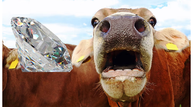 पहले आईपोड बनाकर धूम मचाई अब गाय की डकार से हीरे बनाकर दुनिया को चौंकाया