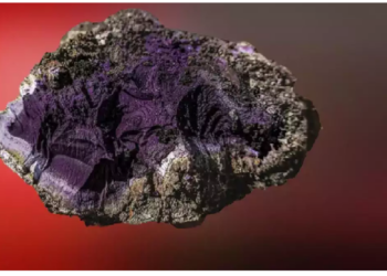 पुरातत्वविदों को खुदाई में मिला रहस्यमय पदार्थ…..सोने से कीमती