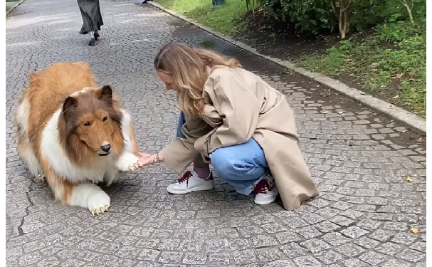 कुत्ते के बाद अब लोमड़ी, भालू बनना चाहता है जापानी शख्स