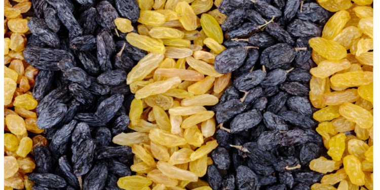 किशमिश को डाइट में शामिल करना काफी फायदेमंद, किशमिश आपको तुरंत कर सकती है एक्टिवेट