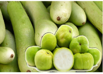 गर्मियों में इन सब्जियों को खाने से शरीर में नहीं होगी पानी की कमी