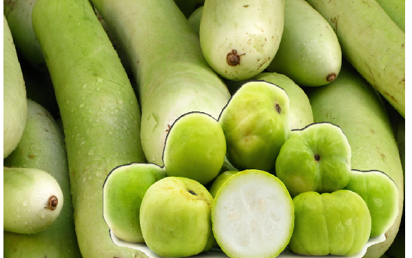 गर्मियों में इन सब्जियों को खाने से शरीर में नहीं होगी पानी की कमी