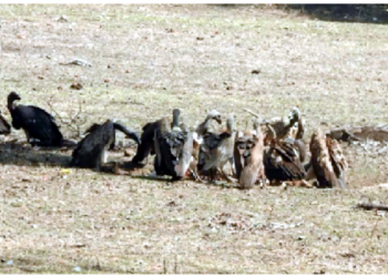 बौद्ध परंपराओं में अद्भुत है अंतिम संस्कार प्रथा