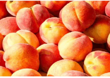 आड़ू ऐसा फल जो दिल से लेकर त्वचा तक को रखता है स्वस्थ