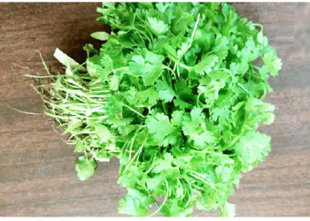 खाने के स्वाद के साथ ही सेहत ठीक रखता है धनिया