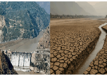 गेहूं की बुवाई, मछली, बिजली…सब पर ग्रहण! सिंधु जल संधि टूटने से पाकिस्तान में पड़ेगा अकाल