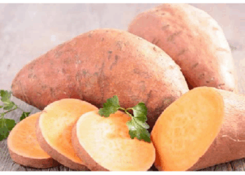 सेहत के लिए लाभकारी होता है शकरकंद