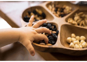 गर्मियों में बच्चों को सीमित मात्र में दें ड्राई फ्रूट्स