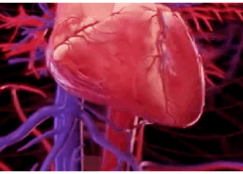 हार्ट अटैक का सबसे बड़ा कारण है ये चीज