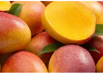 डायबिटीज मरीजों के लिए खतरनाक हो सकता है आम