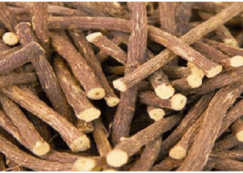 गर्मी में राहत के लिए मुलेठी है रामबाण औषधि