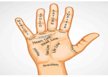 हाथ की रेखाएं और हथेली के आकार से पता चलता है कैसा होगा जीवन