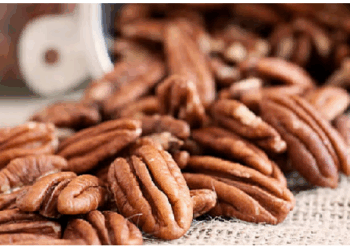 दिल के स्वास्थ्य के लिए बेहद लाभकारी होते हैं पीकन नट्स