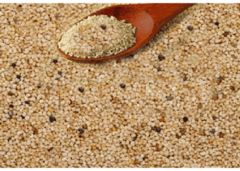 जलन की समस्या को दूर करने में सहायक है खसखस