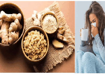 बारिश में सर्दी-जुकाम से राहत के लिए सौंठ का इस्तेमाल करें