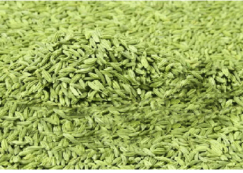 गर्मी के मौसम में सौंफ के दाने होते है विशेष रूप से लाभकारी