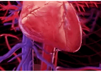 युवाओं को तेजी से जकड़ रही है हार्ट डिजीज, ये है असली वजह