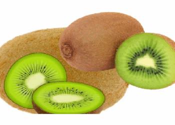 गर्मियों में कीवी के सेवन से शरीर को मिलती है ठंडकता