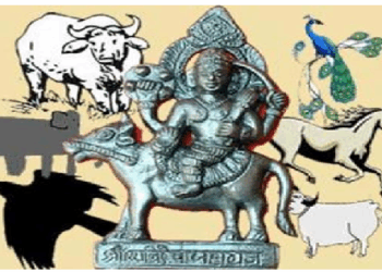 शनिदेव के हैं कौवे सहित कुल 9 वाहन, इन्हें माना जाता है बेहद शुभ